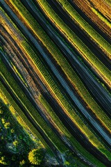 Wall Mural - Smart irrigation system using aerial data to manage water flow. The field is segmented and watered precisely, Generative AI 