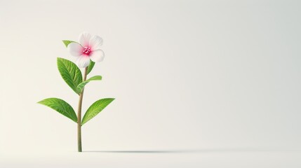 Poster - A conceptual image of business growth depicted through a plant sprouting and blooming, set against a minimalist background to highlight the theme of progress and prosperity. Ample copy space is