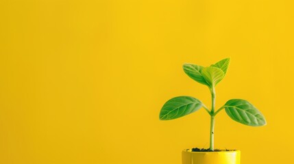 Poster - A symbolic representation of business success illustrated through a plant sprouting, growing, and blooming, symbolizing prosperity and achievement. The image includes generous copy space for adding