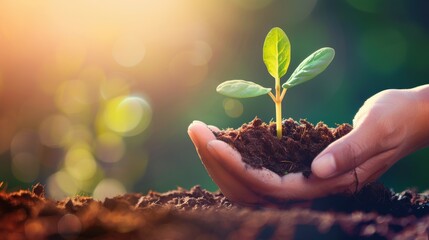 Poster - An inspirational stock photo illustrating the cultivation of a successful business, featuring hands carefully nurturing a small plant amidst a serene environment with plenty of copy space.