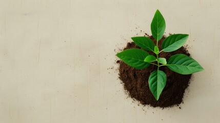 Poster - A conceptual image illustrating the concept of business growth through the metaphor of plants multiplying and propagating in fertile soil. The composition includes generous copy space for adding