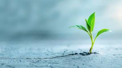 Poster - A conceptual photo of a young plant growing through a crack in concrete, symbolizing the perseverance and fortification of business growth despite challenges. The background provides space for adding