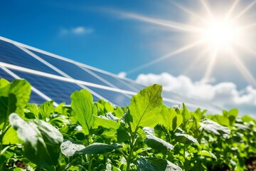 Wall Mural - Greenhouse using solar energy to maintain optimal temperature for growing crops. The plants are thriving, Generative AI