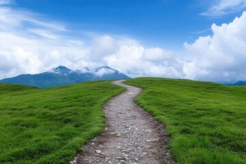 A serene landscape featuring a winding path through lush green grass against a backdrop of majestic mountains and a blue sky.