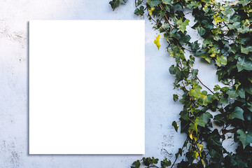 blank poster on an ivy covered wall, styled in the minimalist aesthetic