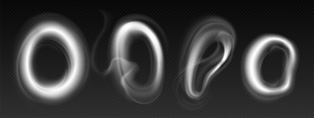 Wall Mural - smoke cloud ring on dark transparent background. realistic 3d vector illustration set of vapor steam