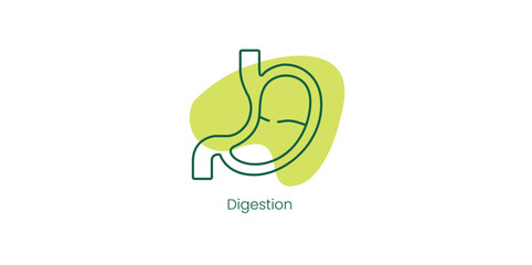 Canvas Print -  Digestion Vector Icon Representing Digestive System Health and Function