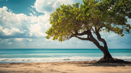 Wall Mural - Tranquil Beach Scene with a Lone Tree