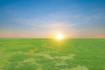 Wall Mural - Landscape view of green grass field with sunset sky background.