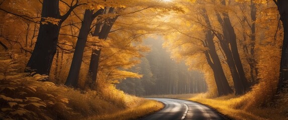 Wall Mural - Winding Road Through a Golden Forest with Sunlight Filtering Through the Trees