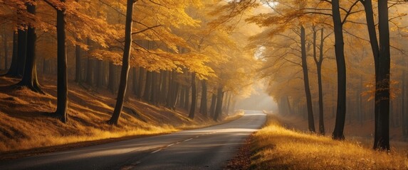 Wall Mural - Winding Road Through Golden Autumn Forest