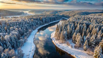 Wall Mural - Aerial drone shot of snow-covered trees in a winter forest with a flowing river Gauja reflecting the scenery, winter, snow