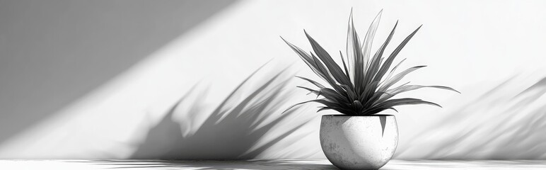 Poster - 3D rendering of a yucca plant in a pot monochrome sketch style