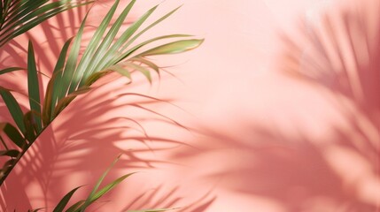 Poster - A pink wall with a green leafy plant on it