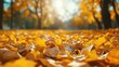 © NickArt - Beautiful yellow and orange leaves in an autumn park against sunny day park background low angle photo