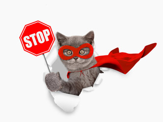 Aufkleber - Cute kitten wearing superhero costume looking through the hole in white paper and showing stop sign