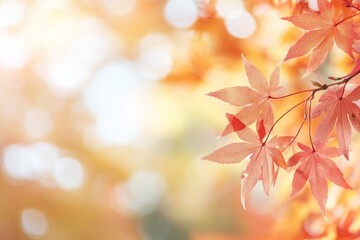 Canvas Print - Autumn leaves with blurred background