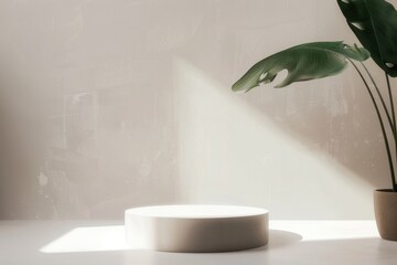 Canvas Print - Minimalist pedestal with plant