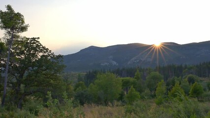 Wall Mural - Sunlight over the mountain and forest