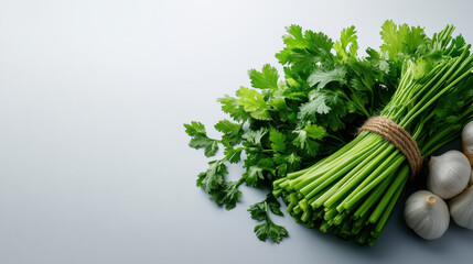 Wall Mural - A vibrant bunch of fresh cilantro tied with twine, accompanied by garlic cloves on a light background, highlighting freshness.