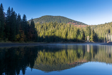 Wall Mural - landscape by the lake in the early morning. coniferous forest on the shore and mountain hills of synevyr national park in autumn