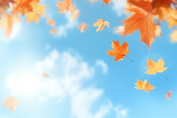 Wall Mural - Autumn leaves against blue sky