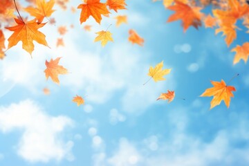 Wall Mural - autumn leaves falling blue sky
