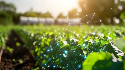 Poster - aerial view of a smart farm utilizing iot sensors and automation technology to optimize irrigation s