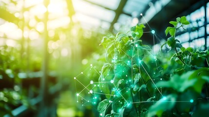 Poster - Greenhouse IoT Sensors Controlling Environment for Optimal Plant Growth Advanced technology monitoring and optimizing conditions for efficient sustainable agriculture