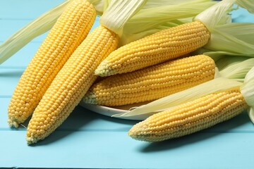 Sticker - Many fresh ripe corncobs with green husks on light blue wooden table