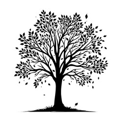Wall Mural - Black vector silhouette of an autumn tree isolated on a transparent background - Decorative autumn tree clipart