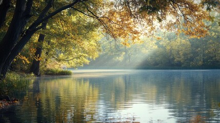 Poster - A peaceful lake surrounded by trees in the transition from summer green to autumn colors, with soft sunlight filtering through