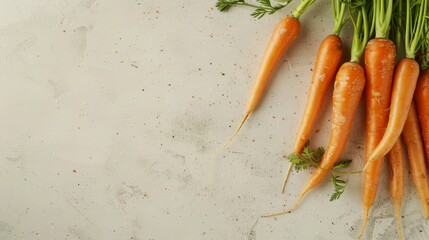 Poster - Carrots lying side by side with copy space on a light background