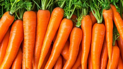 Poster - Fresh carrots spread out evenly with bright lighting and copy space