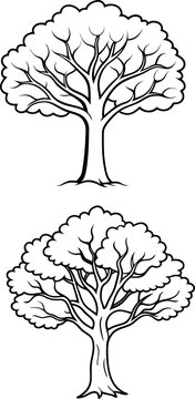 Art & Illustration tree outline vector design line art style