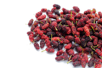 Wall Mural - Fresh mulberry on white background.