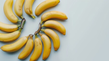 Wall Mural - Several bananas forming a circle on a clean white background