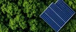 © auc - aerial view of solar panels in a lush green forest for sustainable energy and carbon neutrality.