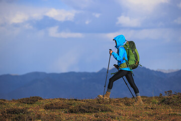 Wall Mural - Woman hiking on sunset  high altitude mountain top