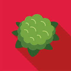 Poster - simple vector illustration of a green bush growing with large leaves, isolated on a red background w