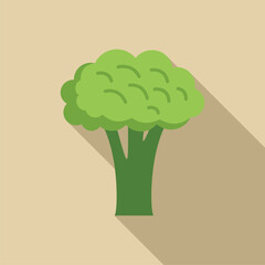 Poster - Simple vector illustration of a fresh green broccoli with a long shadow on a beige background