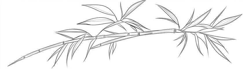 A simple line drawing of a bamboo branch with leaves.