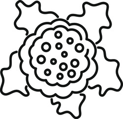 Poster - Simple line drawing icon of a cauliflower, a nutritious vegetable often used in cooking
