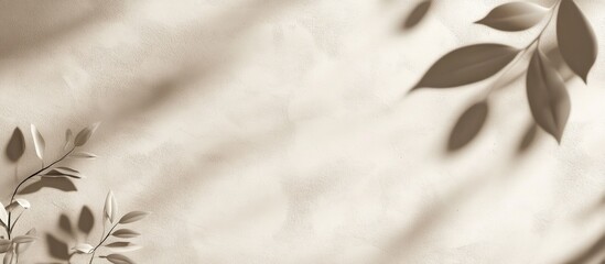 Poster - Abstract beige concrete texture background featuring leaf shadows on the wall Ideal for cosmetic product presentations Minimalistic design with leaf silhouettes 3D render