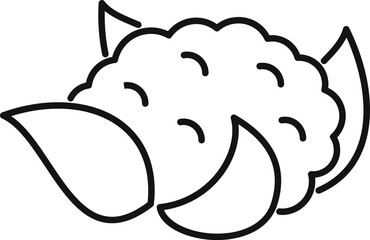 Poster - Simple line drawing icon of a cauliflower with large leaves, representing concepts such as healthy eating, veganism, and vegetarianism
