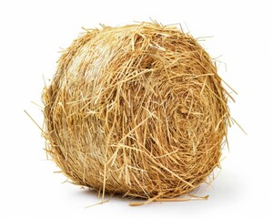 Wall Mural - Bale of Hay. Isolated Bale of Straw on White Background for Farming Concept