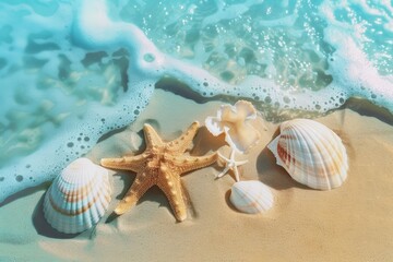 Poster - Seashells & starfish on sand