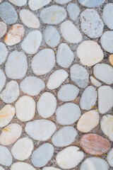 Wall Mural - A vertical image of a path lined with smooth gray pebbles in close-up