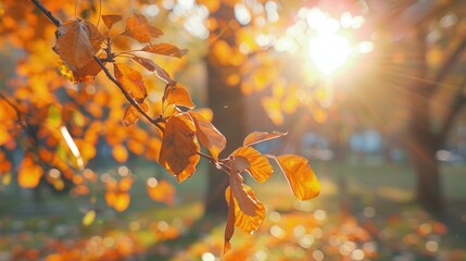 Poster - Autumn leaves in the sun