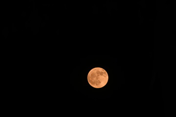 full moon in the night